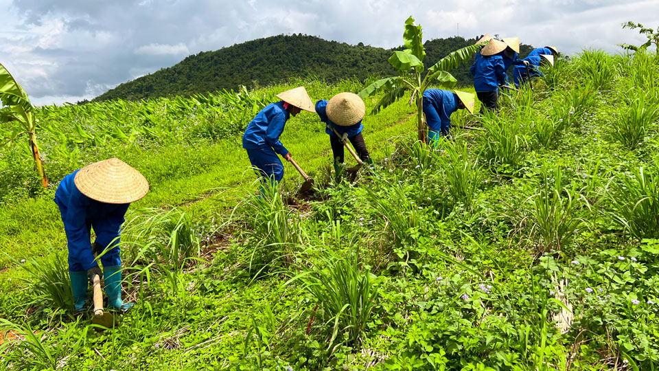 Visual shows six farmers wearing blue overalls and conical bamboo hats preparing the soil on a green hillside.