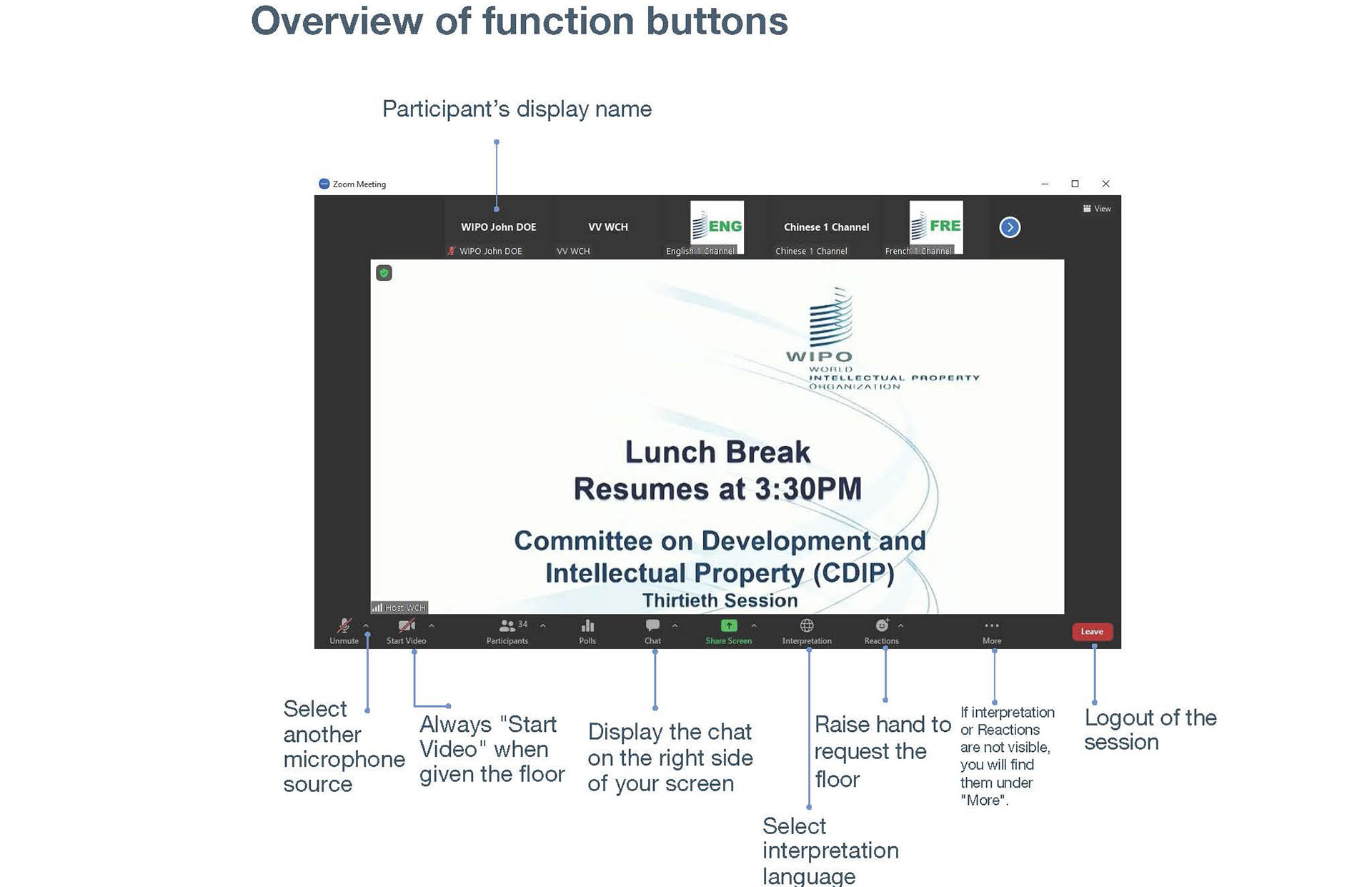 Zoom dashboard overview